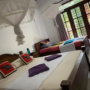 Woodsy Guest house