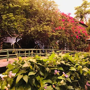 Hungry Lion Guest house