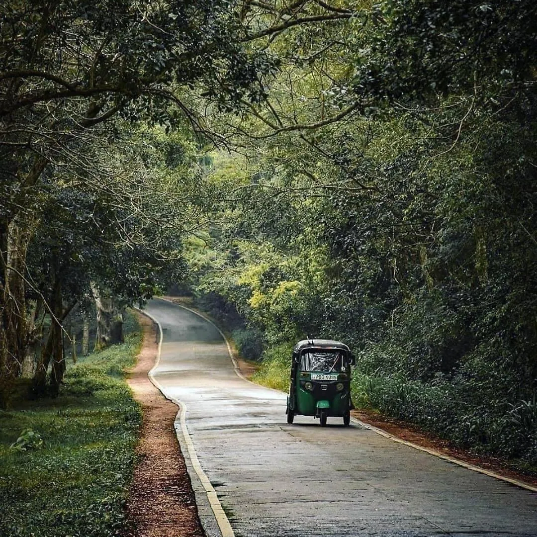 Sigiriya Village Home Stay 0*,