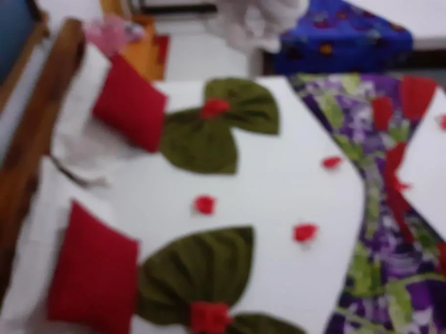 Sigiriya Village Home Stay Guest house
