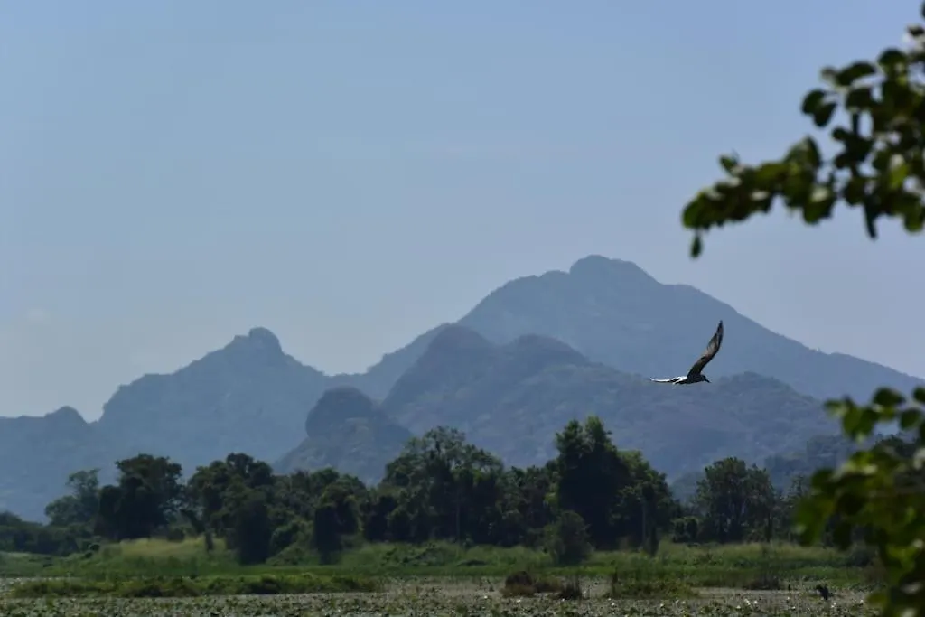 Sigiriya Village Home Stay 0*,